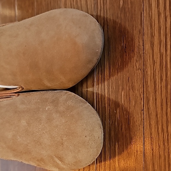 BIRDIES The Starling - Picture 6 of 7